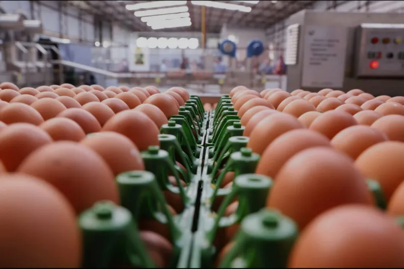 Empresa de Lauro Müller suspende exportações para os EUA: ‘Inviável’