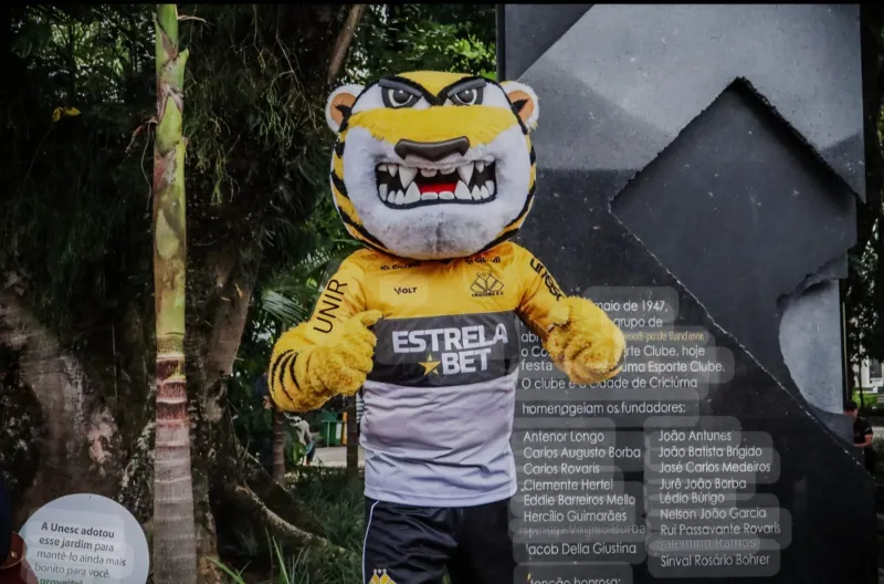 Tigre fecha rodada com 73,7% de probabilidade de acesso, aponta levantamento da UFMG
