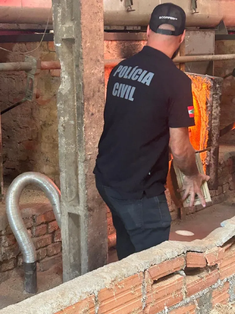 Polícia Civil de Criciúma queima 30 quilos de maconha