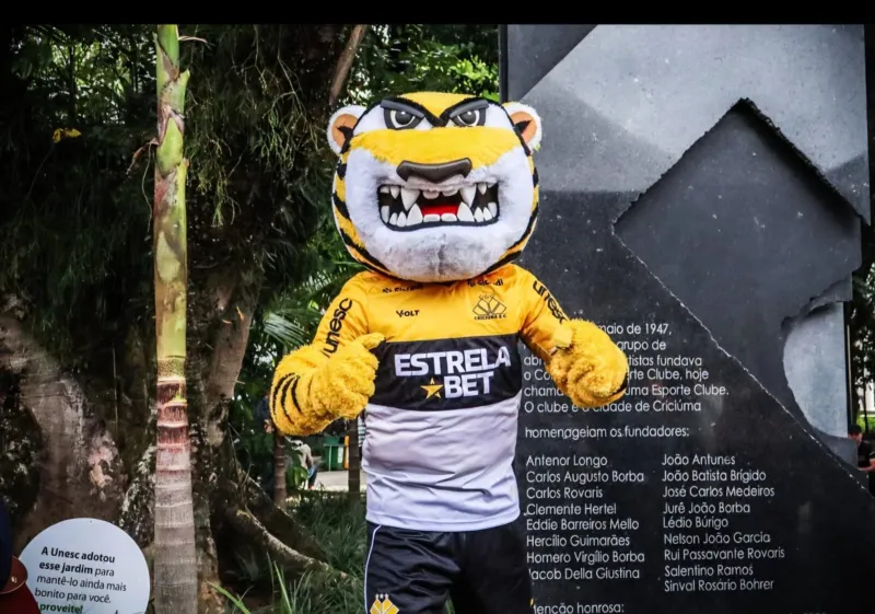 Tigre no vermelho: rombo milionário acende alerta e leva crise ao Conselho