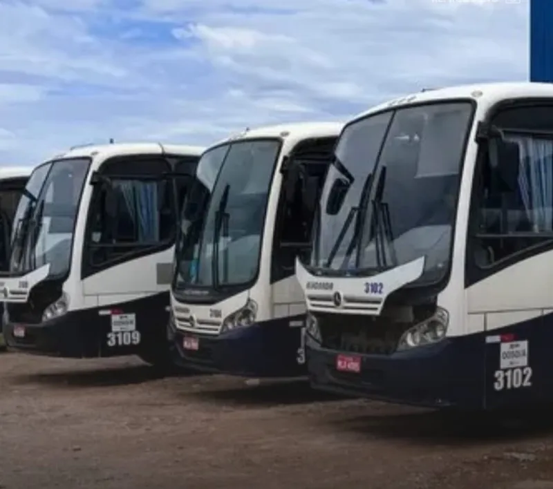 Transporte coletivo entra em colapso no Sul